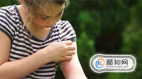 �Զ��������ô������